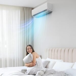 Our Take on the ROVSUN 9000 BTU Mini Split System